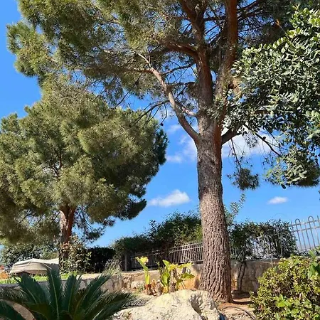The Twin Pines דירה *